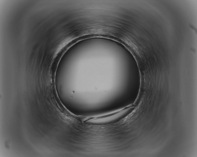 X0000097471070200802291305