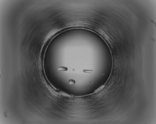 X0000097471072200802291305