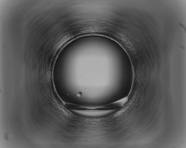 X0000097471073200802291305