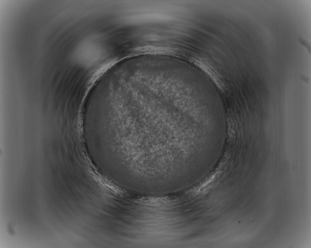 X0000097471074200802291305