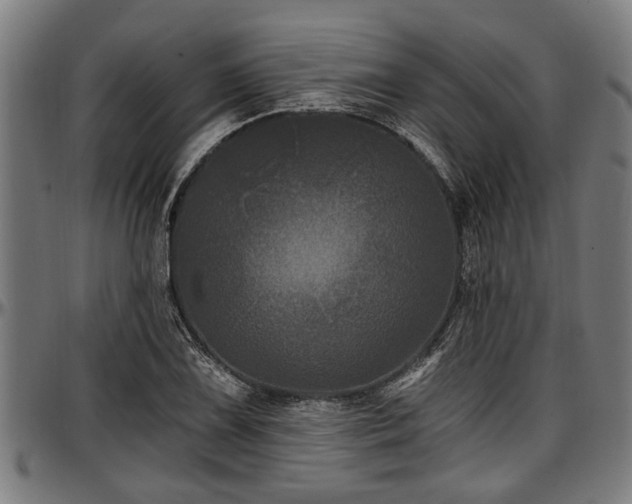 X0000097471075200802291305