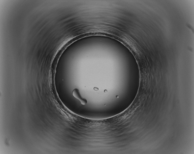 X0000097471076200802291305