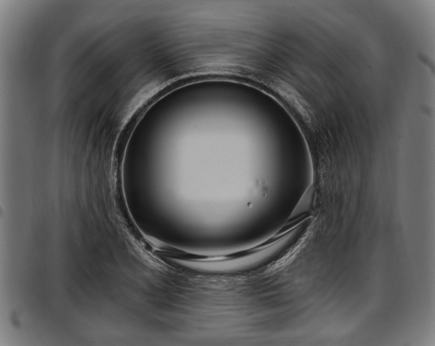 X0000097471077200802291305