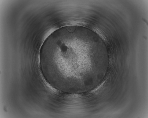 X0000097471079200802291305