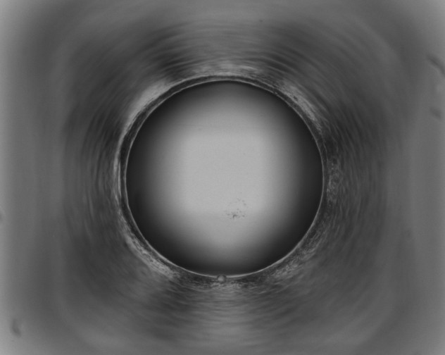 X0000097471080200802291305