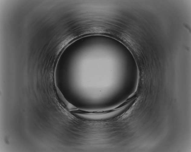 X0000097471081200802291305