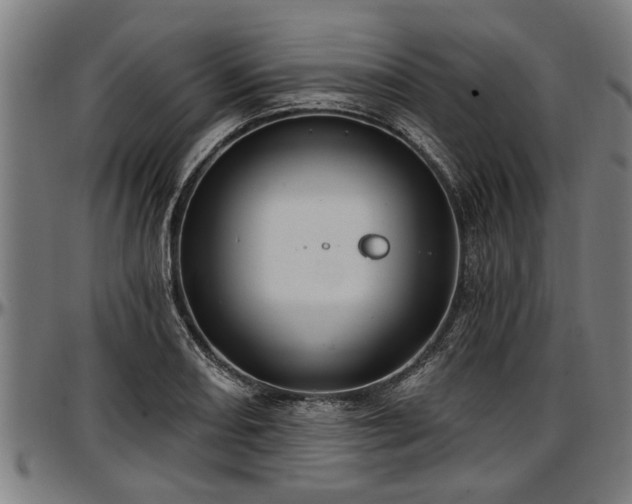 X0000097471082200802291305