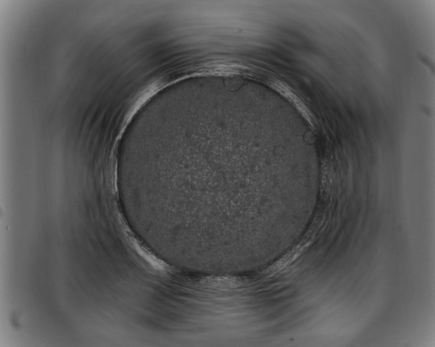 X0000097471083200802291305