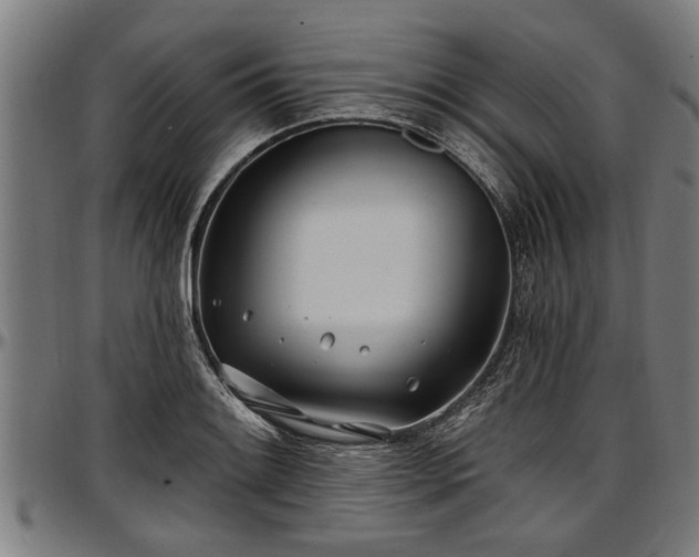 X0000097471084200802291305