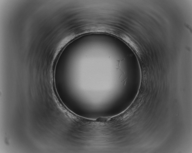 X0000097471088200802291305