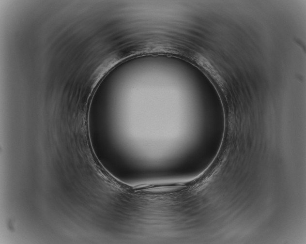 X0000097471089200802291305