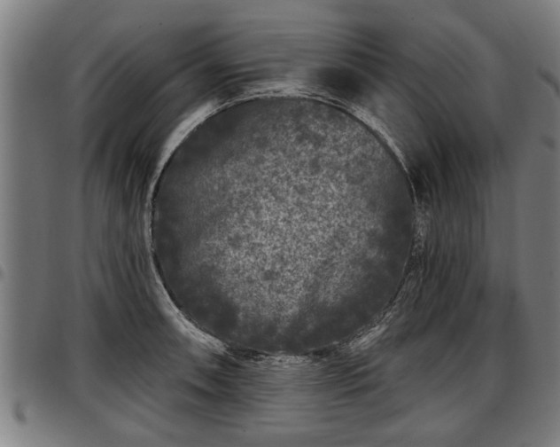 X0000097471090200802291305