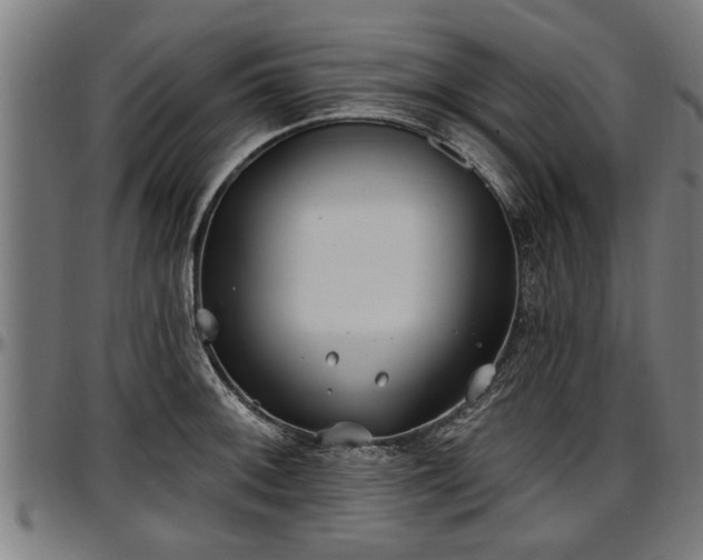 X0000097471092200802291305