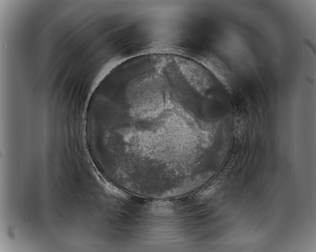 X0000097471094200802291305
