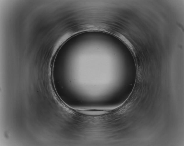 X0000097471096200802291305