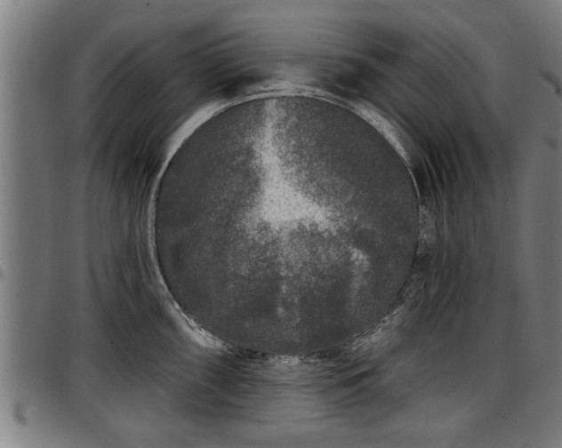 X0000097471098200802291305