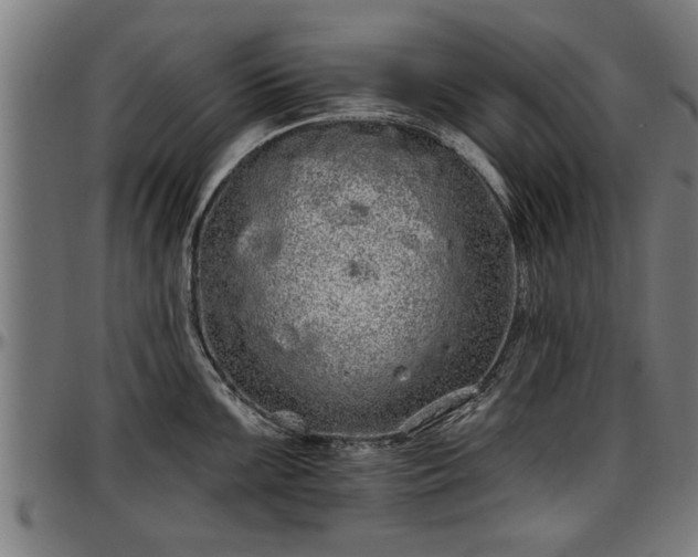 X0000097471099200802291305