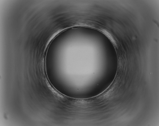 X0000097471100200802291305