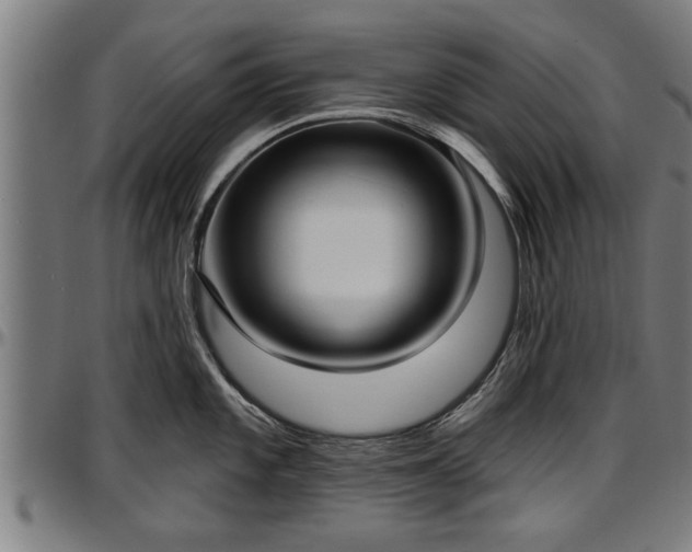 X0000097471101200802291305
