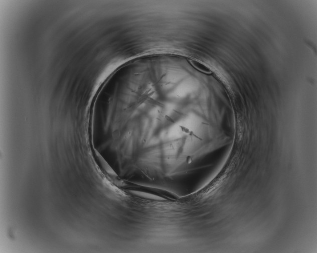 X0000097471102200802291305