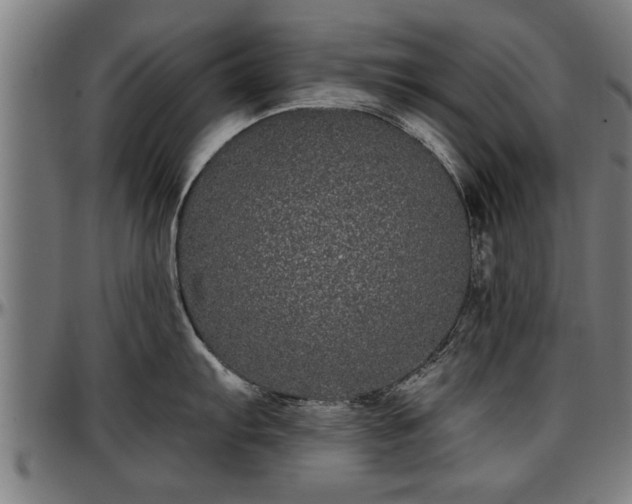 X0000097471103200802291305