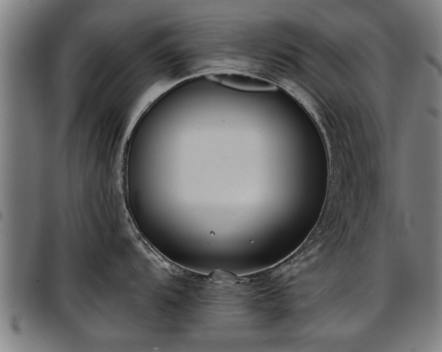 X0000097471104200802291305