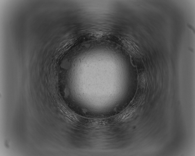 X0000097471105200802291304