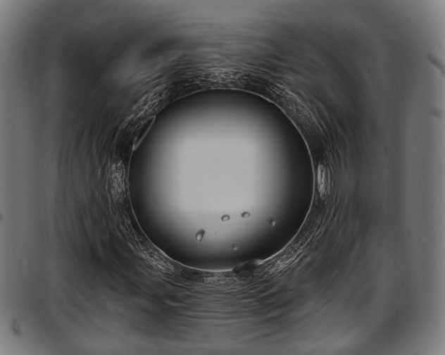 X0000097471107200802291304