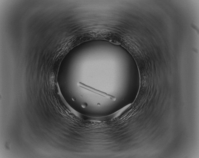X0000097471108200802291304