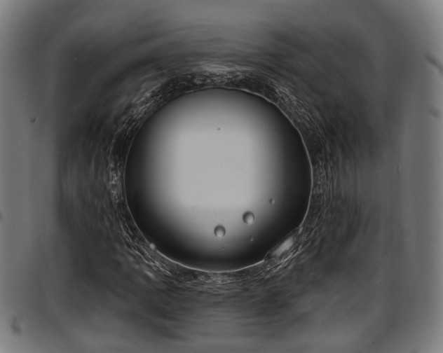X0000097471109200802291304
