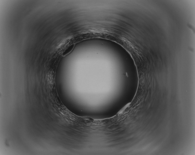 X0000097471110200802291304