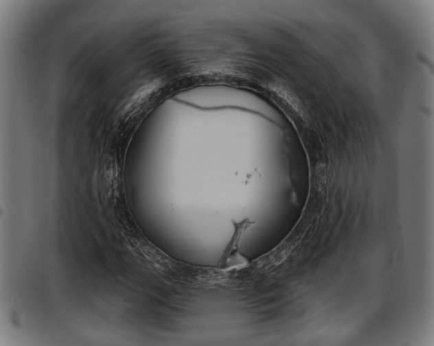 X0000097471111200802291304