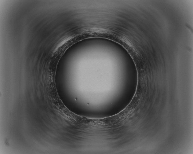 X0000097471112200802291304