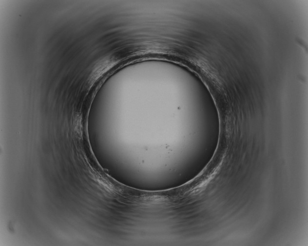 X0000097471113200802291304