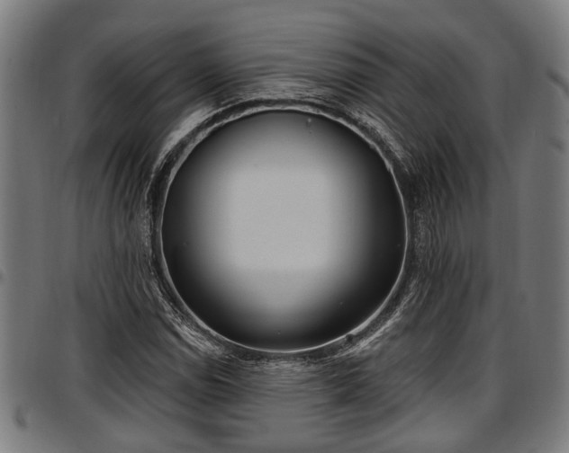 X0000097471114200802291304