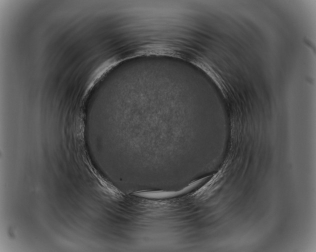 X0000097471115200802291304
