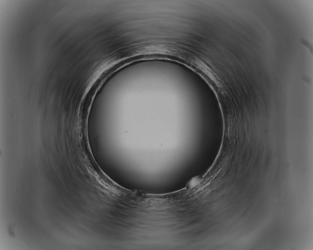X0000097471116200802291304