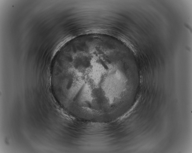 X0000097471117200802291304