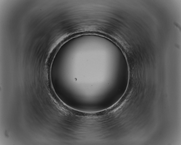 X0000097471118200802291304