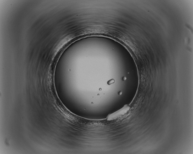 X0000097471119200802291304