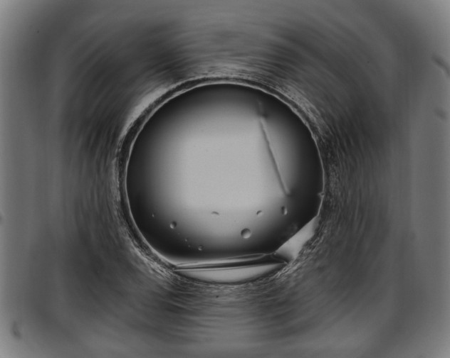 X0000097471120200802291304