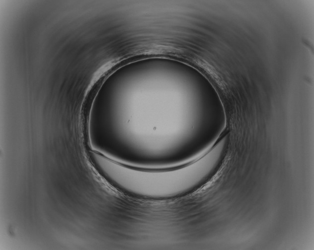X0000097471122200802291304