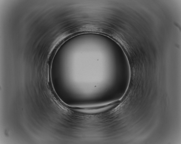 X0000097471123200802291304