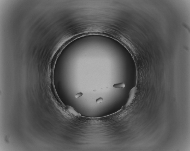 X0000097471124200802291304