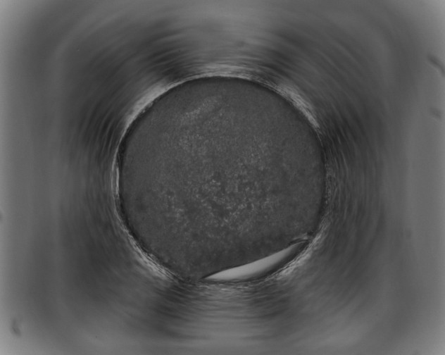 X0000097471125200802291304