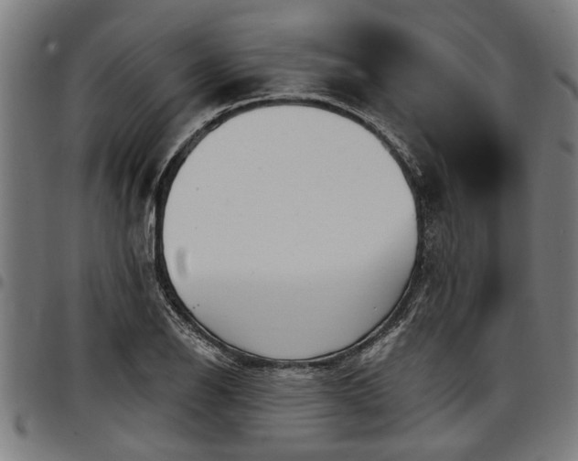 X0000097471126200802291304