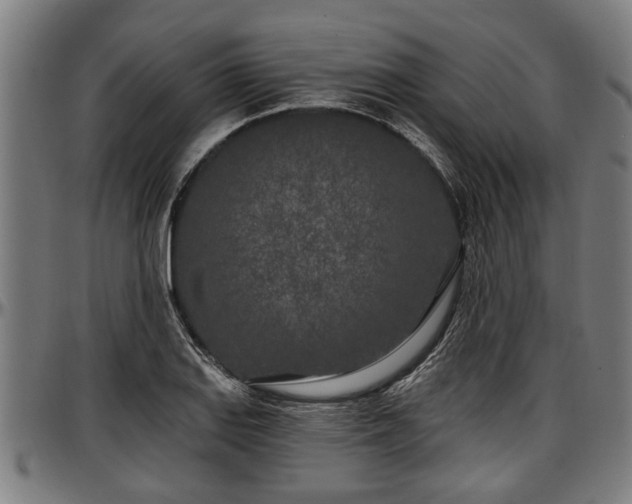 X0000097471127200802291304