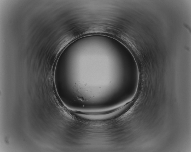 X0000097471129200802291304