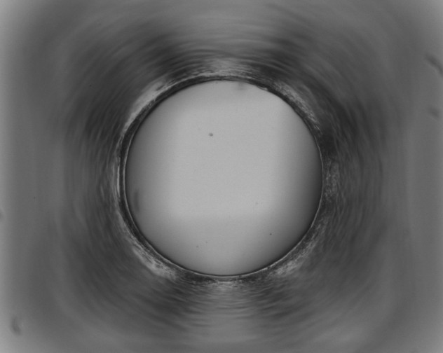 X0000097471130200802291304