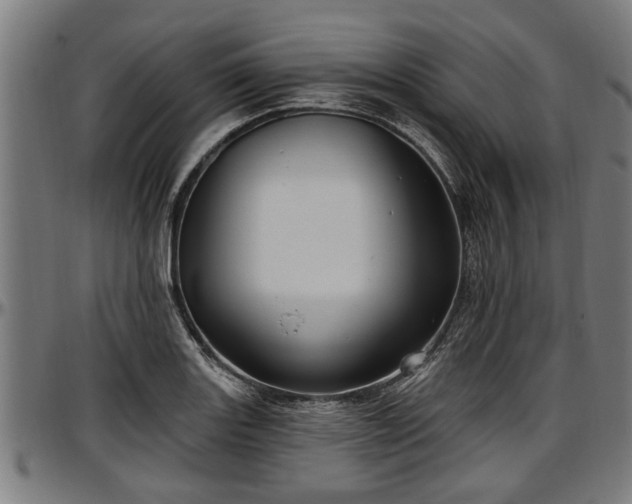 X0000097471131200802291304
